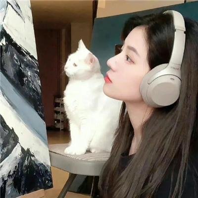 派出所的故事